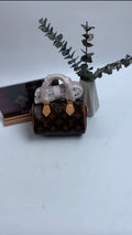 Mini Sac Louis Vuitton Monogram Iconic